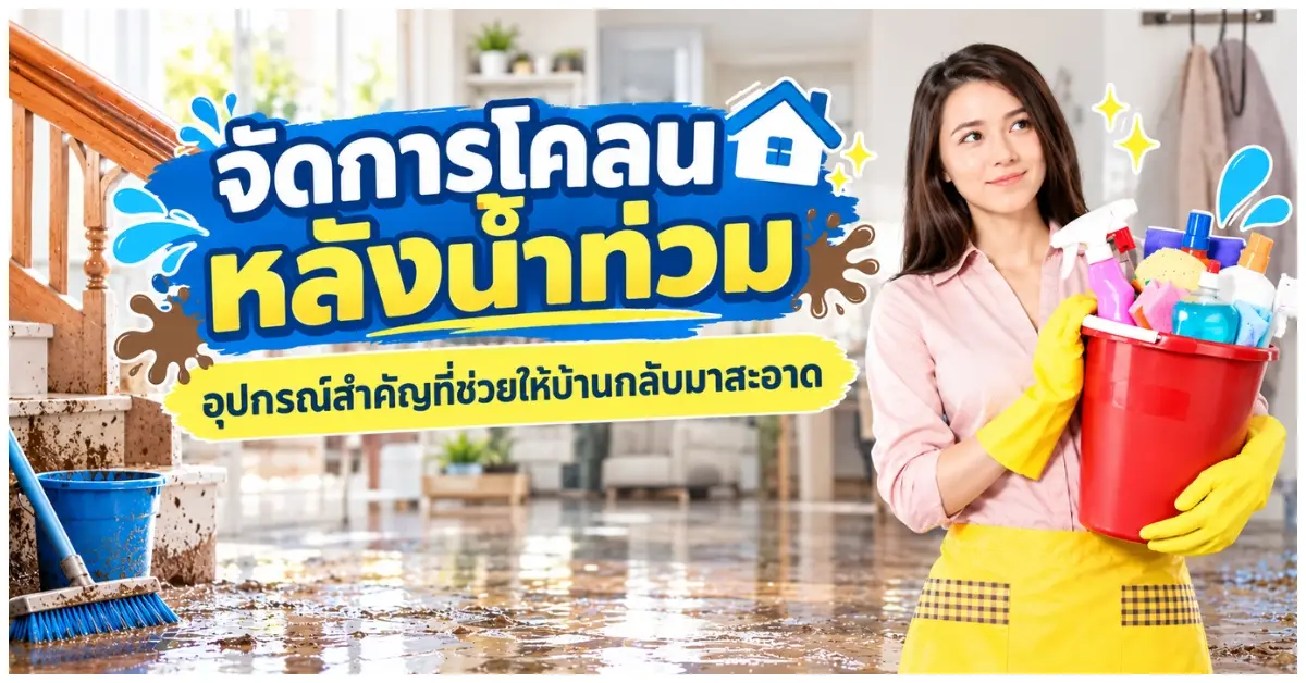 blog-จัดการโคลนหลังน้ำท่วม