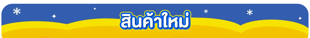 สินค้าใหม่