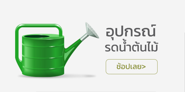 อุปกรณ์รดน้ำต้นไม้