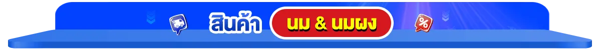สินค้าขายดี