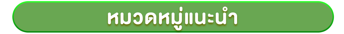 หมวดหมู่แนะนำ