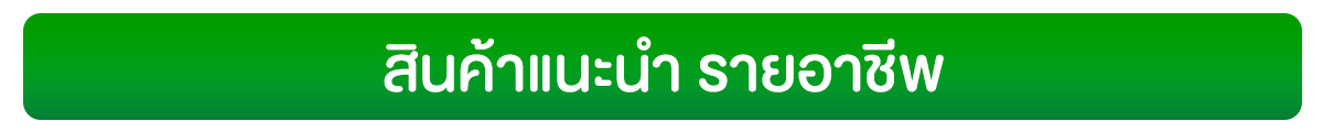 สินค้าแนะนำกลุ่มอาชีพ