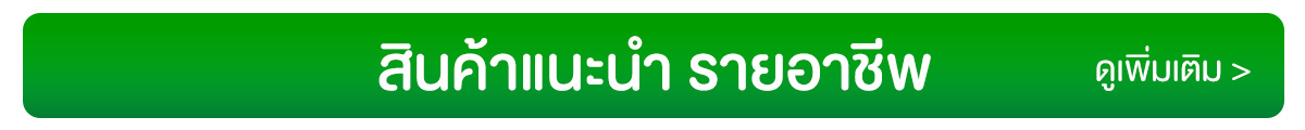 สินค้าแนะนำกลุ่มอาชีพ