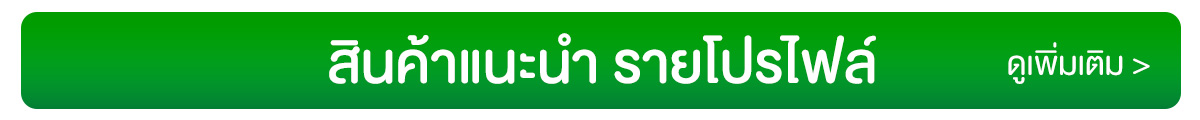 สินค้ารายโปรไฟล์