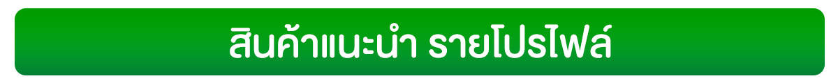 สินค้ารายโปรไฟล์