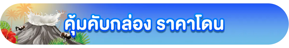 คุ้มคับกล่อง ราคาโดน