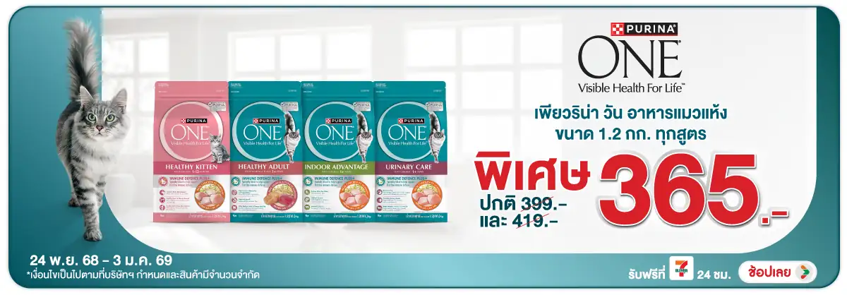 Hero-PETS- เพียวริน่า วัน อาหาร(18) 2403.01.25 H12