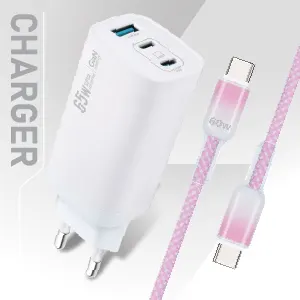 SIS_Rizz_Dec25 Charger