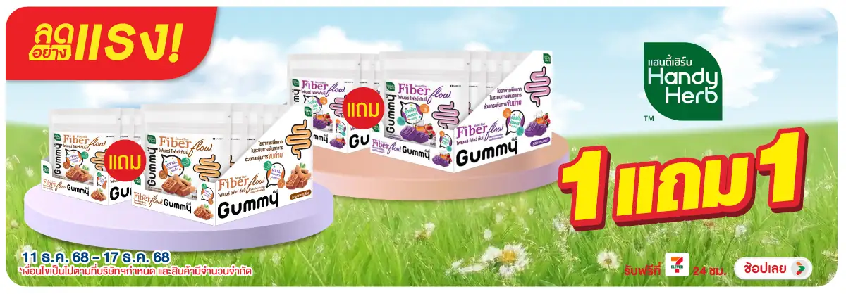 Hero-BTHL- ลดอย่างแรง แฮนดี้เฮิ(10) 11-17.12.25 H12