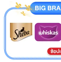 SIS-BB1-Whiskas Sheba