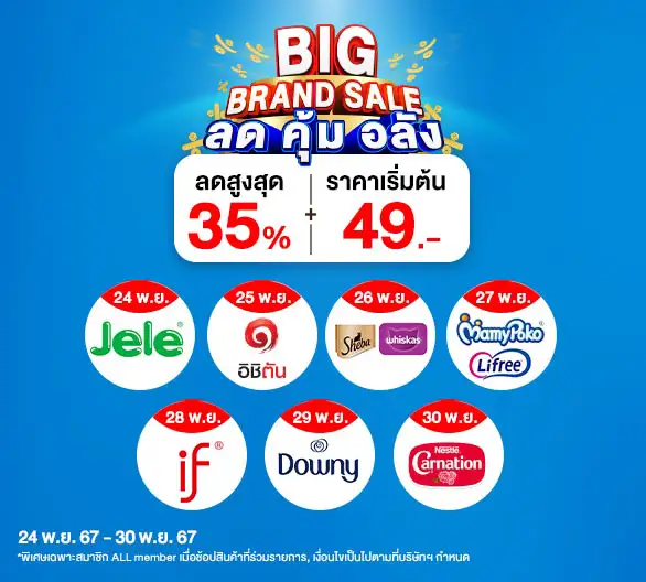 Hero-Big brand sale (24 Nov 24 - 3 Jan 25)