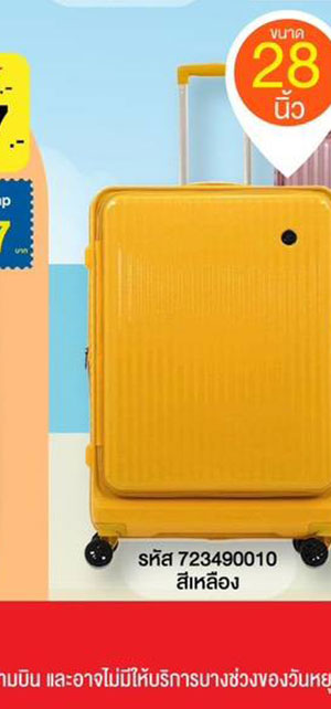 proบินได้11