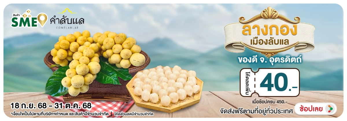 Hero-NON-ลางกองเมืองลับแล ของ 1831.10.25 H12