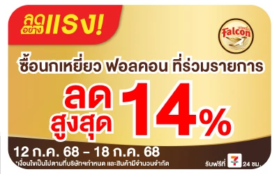 Beside-ลดแรง นกเหยี่ยวที่ร่วมรายการ
