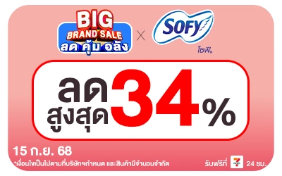 Beside-Big Brand Sale Sofy