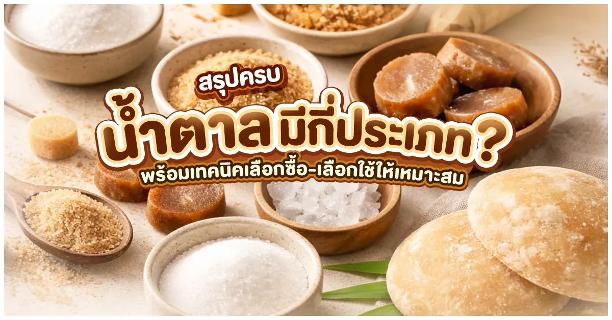 Blog-สรุปครบ! น้ำตาลมีกี่ประเภท