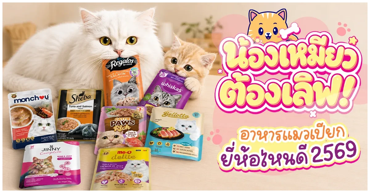 Blog-อาหารแมวเปียก ยี่ห้อไหนดี 2569