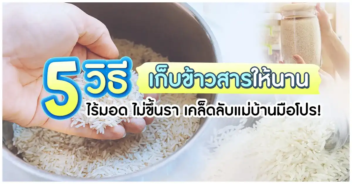 Blog-5 วิธีเก็บข้าวสารให้นาน ไร้มอด ไม่ขึ้นรา