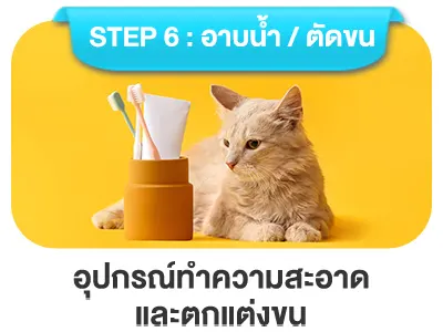 อุปกรณ์ทำความสะอาดและตกแต่งขน