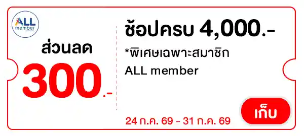PAY300