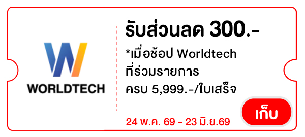 WT300