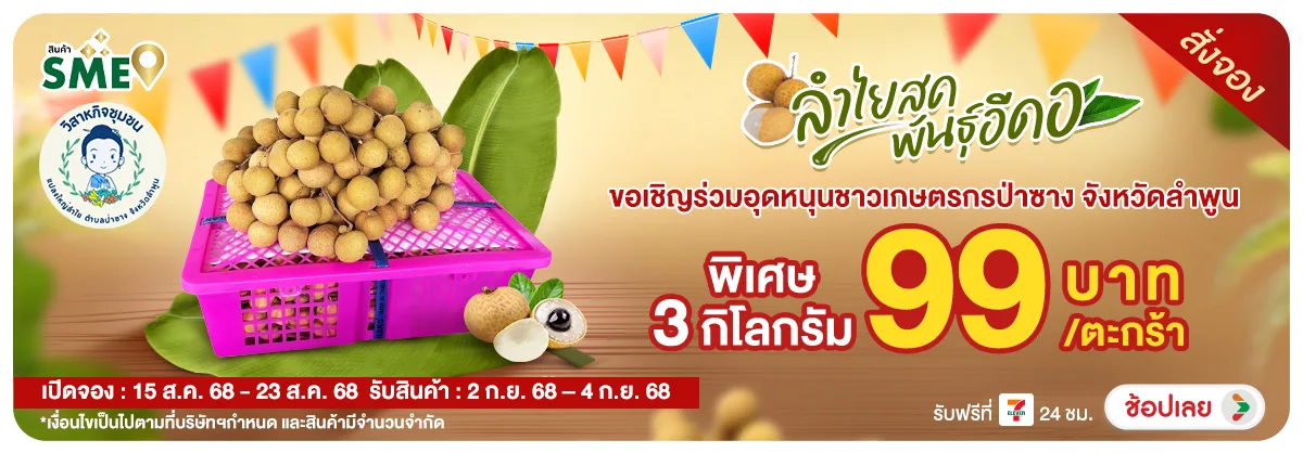 Hero-NON-ลำไยพันธุ์อีดอ อ. ป่ 1523.08.25 H12