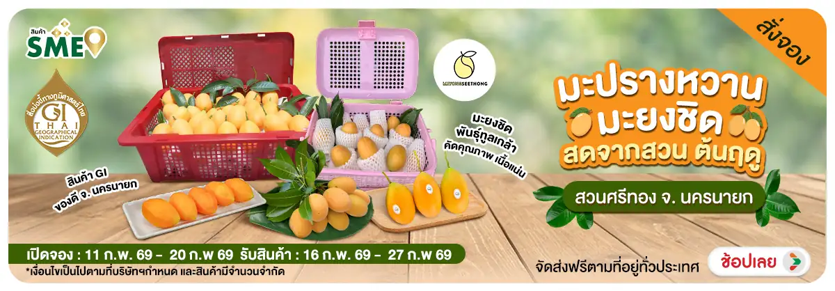 Hero-Non-Pre-order มะปรางหวาน-มะยงชิด สดจากสวน ต้นฤดู 11 ก.พ. – 20 ก.พ. 69