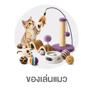 I-Sub-Cate-ของเล่นแมว