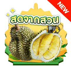ICON-ทุเรียน สดจากสวนมาให้ฟิน (8 - 23 May 25)