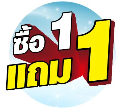 1 แถม 1