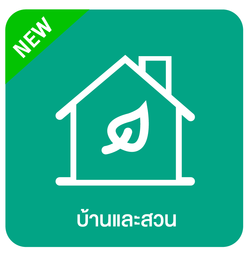 สินค้าใหม่ตามหมวดหมู่