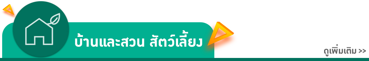 Home & Garden OUTLET ลดล้างสต็อก สินค้าราคาทุน
