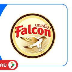 SIS-B-Falcon
