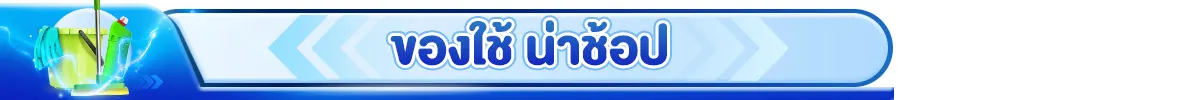 สินค้าของใช้น่าช้อป