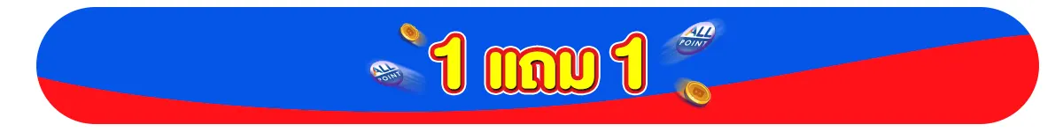 สินค้าแถมจัดหนัก