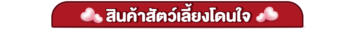 22.2 ซื้อซ้ำ ย้ำโปรแรง (22 ก.พ. 2568)