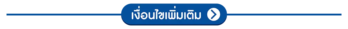 เงื่อนไขเพิ่มเติม