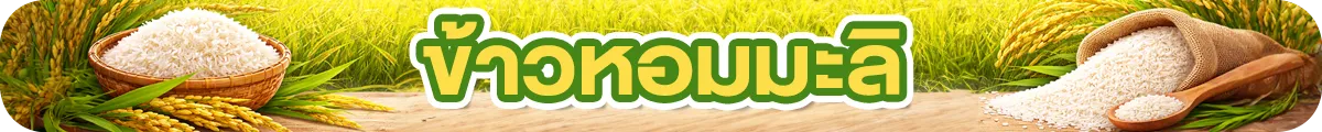 Sub-Cate-ข้าวหอมมะลิ-2