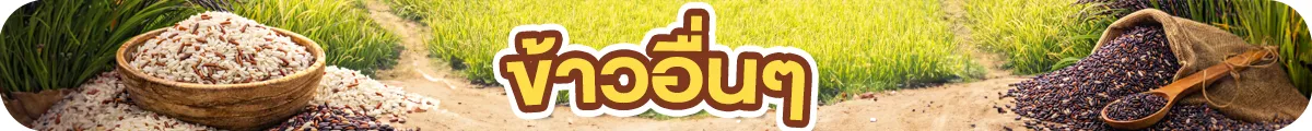 Sub-Cate-ข้าวอื่นๆ