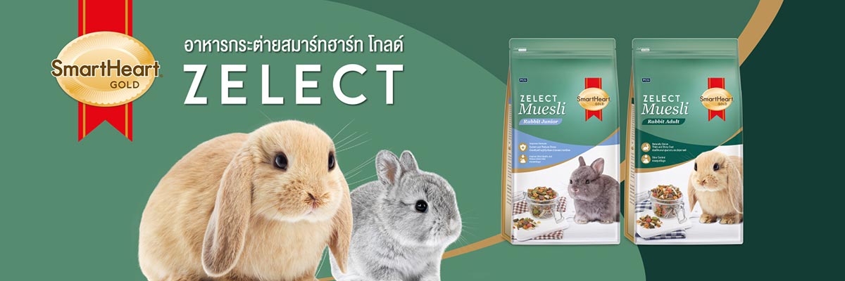 Sub-Category-Banner-No9