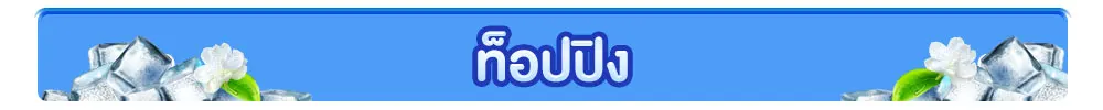 ท็อปปิง