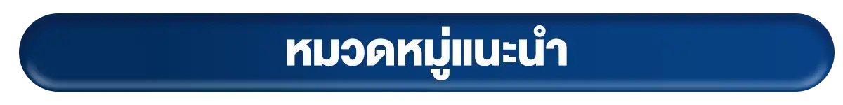 หมวดหมู่แนะนำ MB+IT